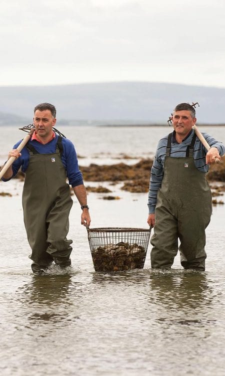 Kelly Oysters Kilcolgan, Sole Oyster Bar Dublin