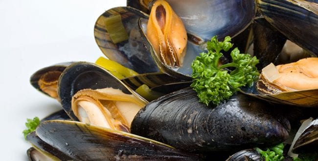 roaring bay mussels gourmet