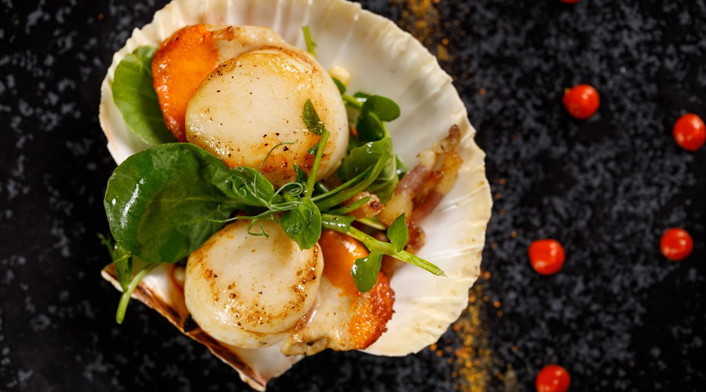 scallops-starter