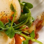 scallops-starter