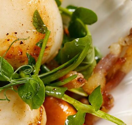 scallops-starter