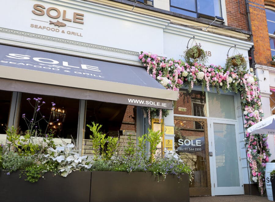Sole Seafood Cafe and Restaurant Dublin